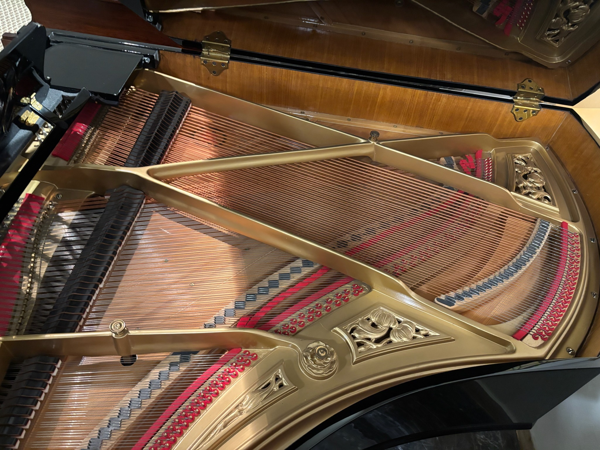 Ibach 180 Innenansicht